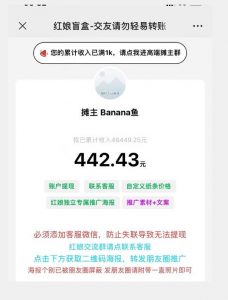 盲盒交友5.0，男粉变现实操项目，亲测变现效果极好【揭秘】-资源云