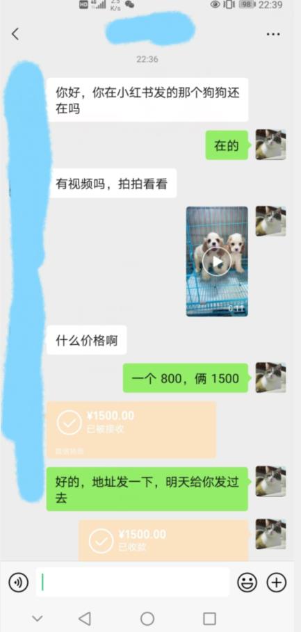 外边收费3980的同城萌宠项目，用最冷门的玩法冲击最热门的市场【揭秘】-资源云
