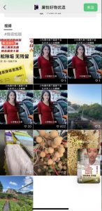 外面收费198的最新视频号连怼技术,条条原创,条条爆单【揭秘】-资源云