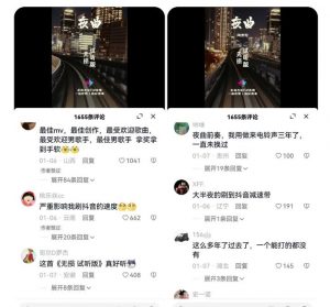副业拆解：抖音杰伦音乐号涨粉变现项目，视频版一条龙实操玩法分享给你-资源云