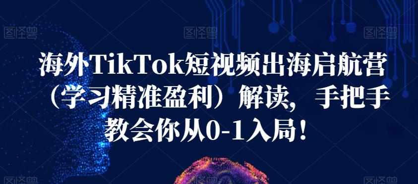 海外TikTok短视频出海启航营（学习精准盈利）解读，手把手教会你从0-1入局！-资源云