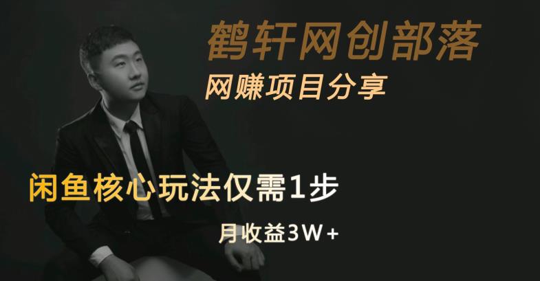 闲鱼核心玩法不卖货也能1年变现20W，玩法简单-资源云