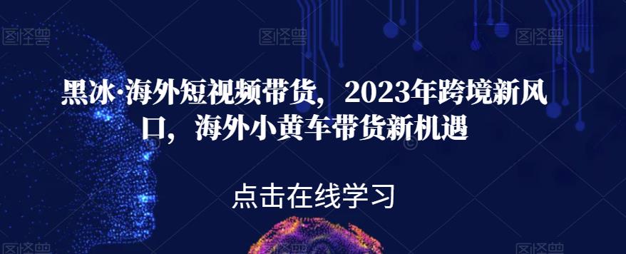黑冰·海外短视频带货，2023年跨境新风口，海外小黄车带货新机遇-资源云