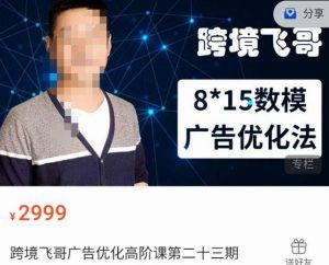 跨境飞哥·广告优化高阶课第二十三期，​8*15数模广告优化法，用数据驱动决策-资源云
