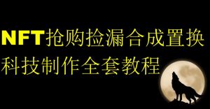 NFT抢购捡漏合成置换科技制作全套教程-资源云
