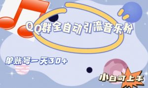 QQ群全自动引流音乐粉,单账号一天轻松引流30+-资源云