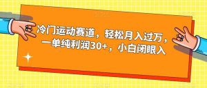 冷门运动赛道,轻松月入过万,一单纯利润30+,小白闭眼入【揭秘】-资源云