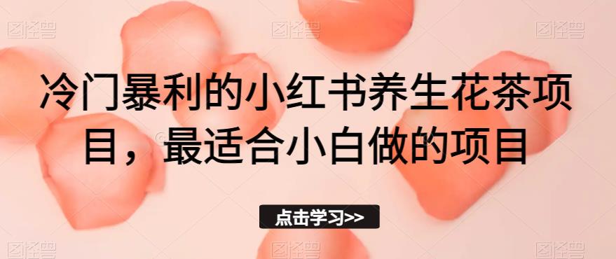 冷门暴利的小红书养生花茶项目，最适合小白做的项目【揭秘】-资源云