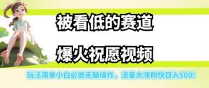 被看低的赛道爆火祝愿视频,玩法简单小白必做无脑操作,流量大涨粉快日入500-资源云