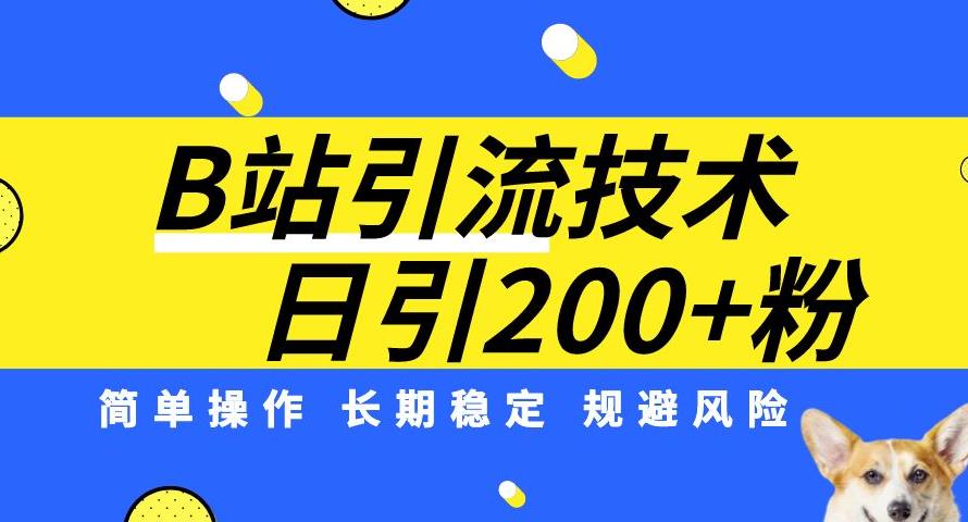 B站引流技术：每天引流200精准粉，简单操作，长期稳定，规避风险-资源云