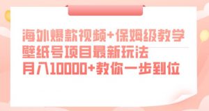 海外爆款视频+保姆级教学，壁纸号项目最新玩法，月入10000+教你一步到位【揭秘】-资源云