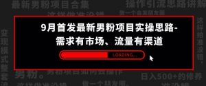 9月首发最新男粉项目实操思路-需求有市场,流量有渠道【揭秘】-资源云
