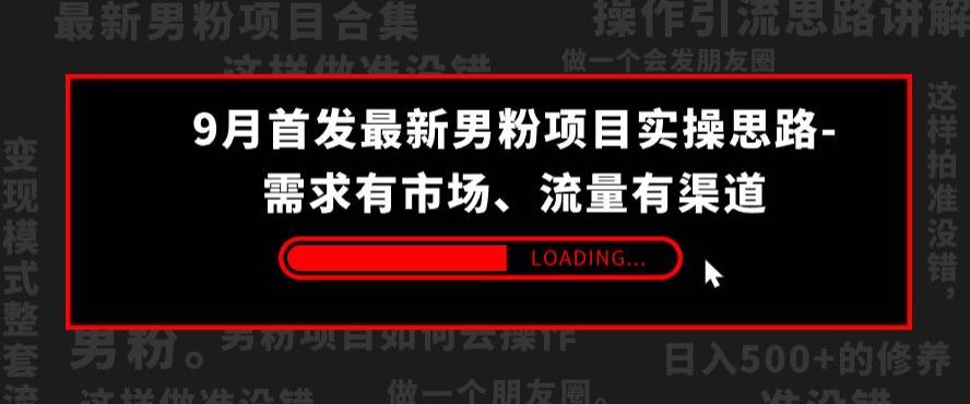 9月首发最新男粉项目实操思路-需求有市场，流量有渠道【揭秘】-资源云