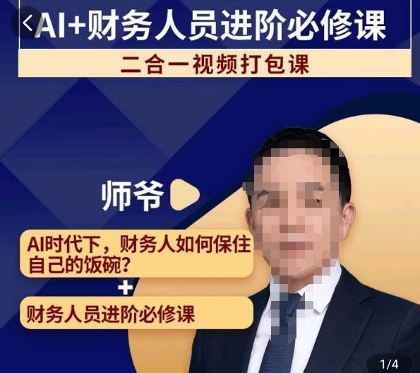 AI+财务人员进阶必修课二合一视频打包课，财务人员进阶必修课-资源云