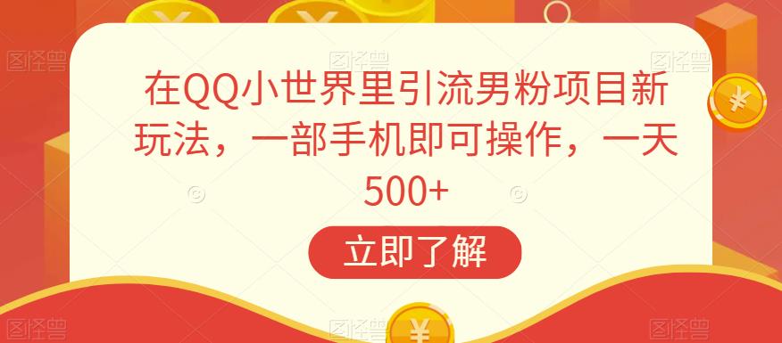 在QQ小世界里引流男粉项目新玩法，一部手机即可操作，一天500+【揭秘】-资源云