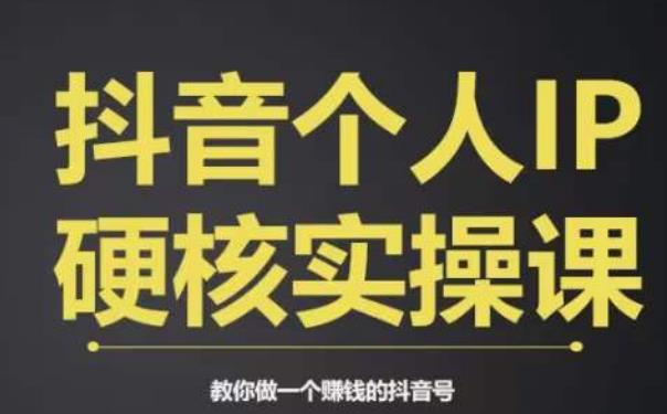 个人IP创富系统实战课，商业定位，流量打造，短视频变现，教你做个赚钱的抖音号-资源云