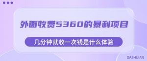 外面收费5360的暴利项目,几分钟就收一次钱是什么体验,附素材【揭秘】-资源云