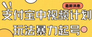 支付宝中视频玩法暴力起号影视起号有播放即可获得收益(带素材)-资源云