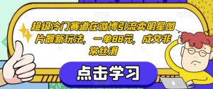 超级冷门赛道在微博引流卖明星图片最新玩法，一单88元，成交非常丝滑【揭秘】-资源云