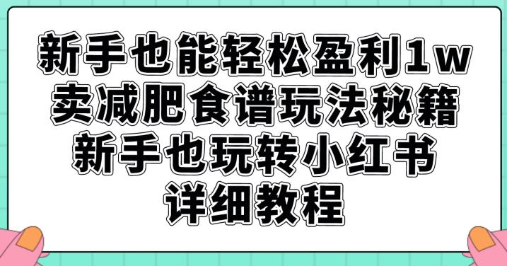新手也能轻松盈利1w，卖减肥食谱玩法秘籍，新手也玩转小红书详细教程【揭秘】-资源云