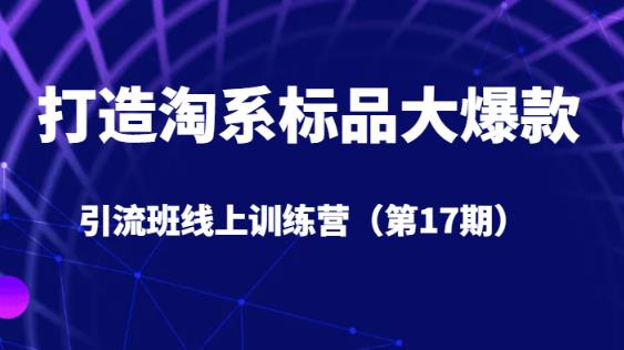 打造淘系标品大爆款引流班线上训练营（第17期）5天直播授课-资源云