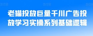 老猫投放巨量千川广告投放学习实操系列基础逻辑-资源云