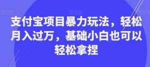 支付宝项目暴力玩法,轻松月入过万,基础小白也可以轻松拿捏【揭秘】-资源云