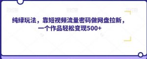 纯绿玩法,靠短视频流量密码做网盘拉新,一个作品轻松变现500+【揭秘】-资源云