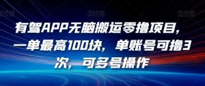 有驾APP无脑搬运零撸项目,一单最高100块,单账号可撸3次,可多号操作【揭秘】-资源云