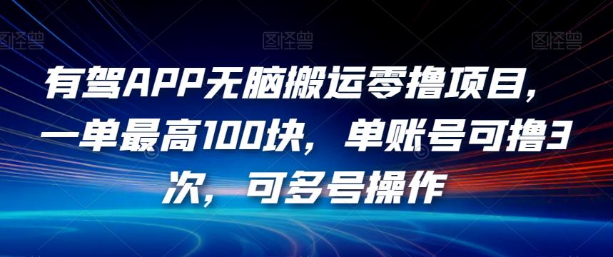 有驾APP无脑搬运零撸项目，一单最高100块，单账号可撸3次，可多号操作【揭秘】-资源云