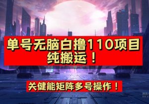9月全网首发，单号直接白撸110！可多号操作，无脑搬运复制粘贴【揭秘】-资源云