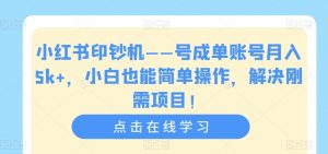 小红书印钞机——号成单账号月入5k+,小白也能简单操作,解决刚需项目【揭秘】-资源云