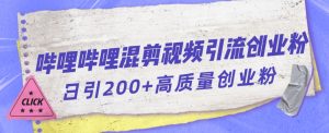 哔哩哔哩B站混剪视频引流创业粉日引300+-资源云
