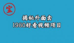宝哥揭秘外面卖1980好看视频项目，投入时间少，操作难度低-资源云