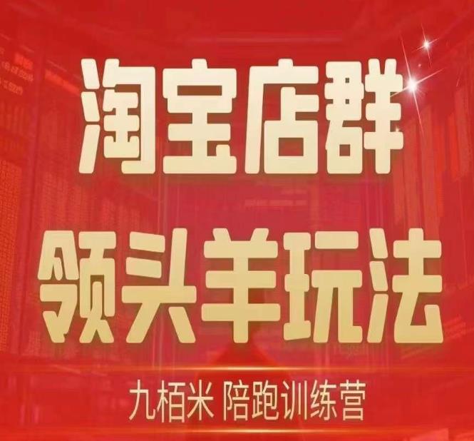 九栢米-淘宝店群领头羊玩法，教你整个淘宝店群领头羊玩法以及精细化/终极蓝海/尾销等内容-资源云