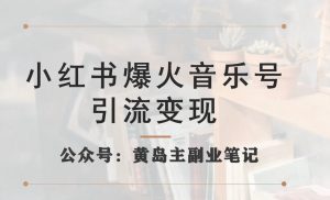 小红书爆火音乐号引流变现项目,视频版一条龙实操玩法分享给你-资源云