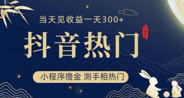 抖音最新小程序撸金，测手相上热门，当天见收益一小时变现300+【揭秘】-资源云