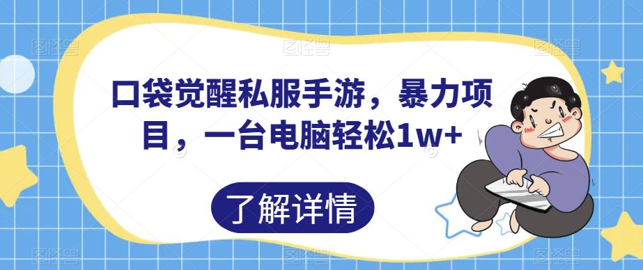 口袋觉醒私服手游，暴力项目，一台电脑轻松1w+【揭秘】-资源云