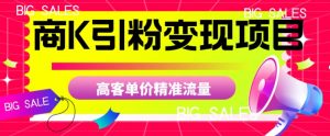 商K引粉变现项目，高客单价精准流量【揭秘】-资源云