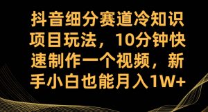抖音细分赛道冷知识项目玩法，10分钟快速制作一个视频，新手小白也能月入1W+【揭秘】-资源云