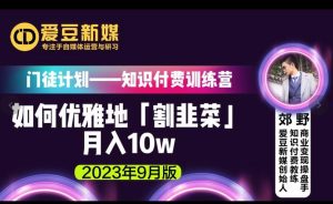 爱豆新媒:如何优雅地「割韭菜」月入10w的秘诀(2023年9月版)-资源云