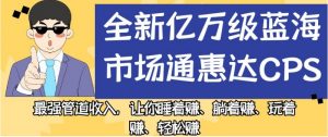 全新亿万级蓝海市场通惠达cps，最强管道收入，让你睡着赚、躺着赚、玩着赚、轻松赚【揭秘】-资源云