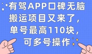 有驾APP口碑无脑搬运项目又来了,单号最高110块,可多号操作-资源云