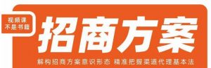 王昕招商方案,解构招商方案意识形态,精准把握渠道代理基本法-资源云