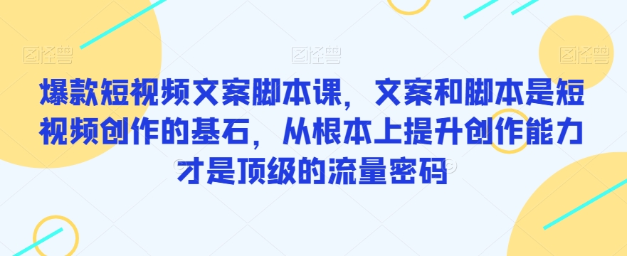 爆款短视频文案脚本课，文案和脚本是短视频创作的基石，从根本上提升创作能力才是顶级的流量密码-资源云