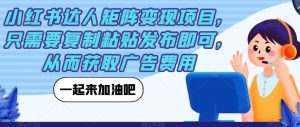 小红书达人矩阵变现项目,只需要复制粘贴发布即可,从而获取广告费用-资源云