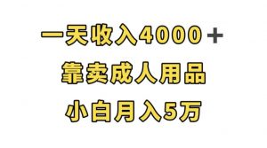 一天收入4000+,靠卖成人用品,小白轻松月入5万【揭秘】-资源云