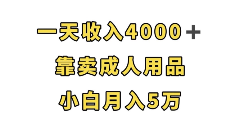 一天收入4000+，靠卖成人用品，小白轻松月入5万【揭秘】-资源云