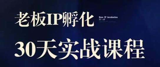 诸葛·2023老板IP实战课，实体同城引流获客，IP孵化必听-资源云