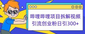 哔哩哔哩项目拆解引流创业粉日引300+小白可轻松上手【揭秘】-资源云